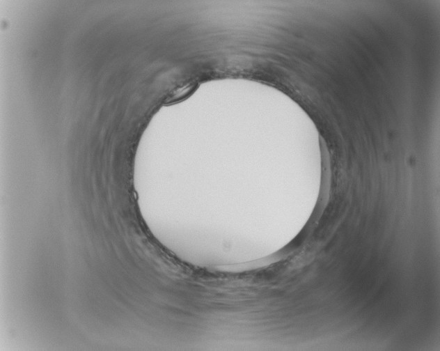 X0000052551153200507291908