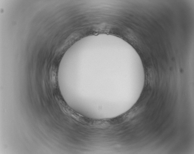 X0000052551154200507291908