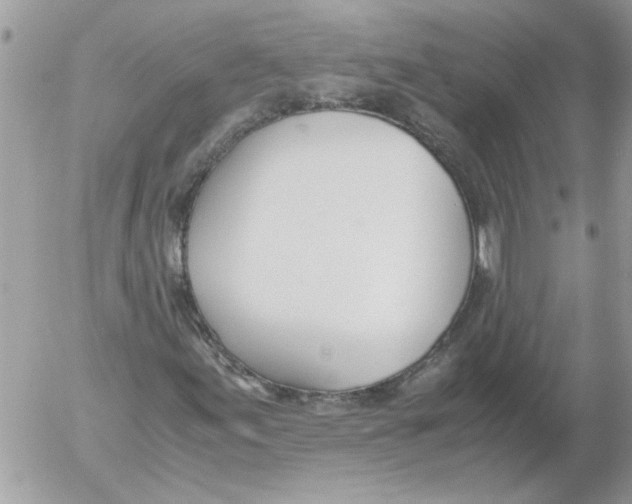 X0000052551155200507291908