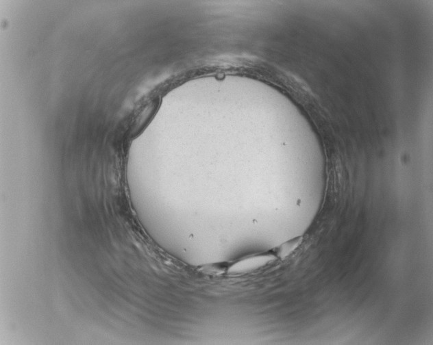 X0000052551158200507291908