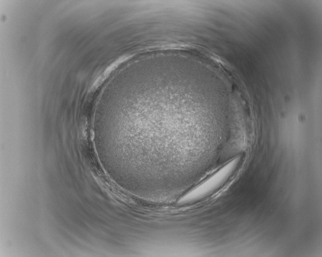 X0000052551161200507291908