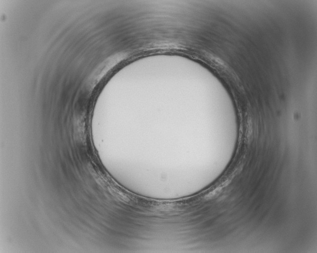 X0000052551162200507291908