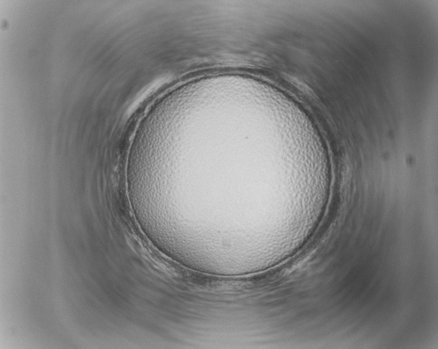 X0000052551163200507291908