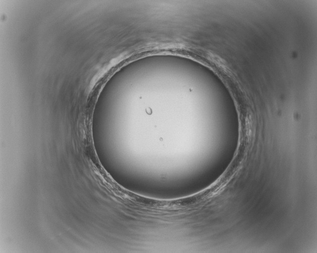 X0000052551165200507291908