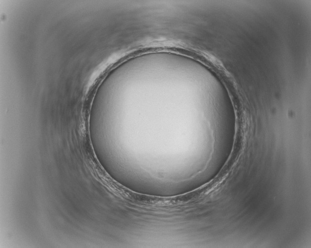 X0000052551167200507291908