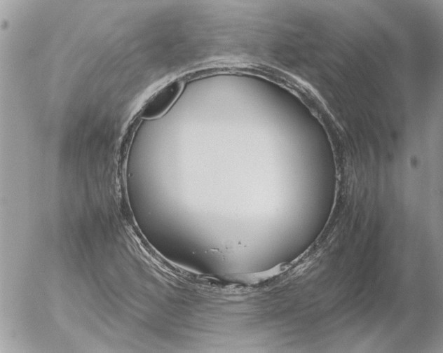 X0000052551168200507291908