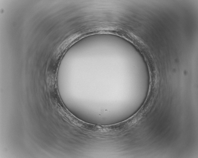 X0000052551169200507291908