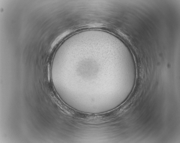 X0000052551171200507291908