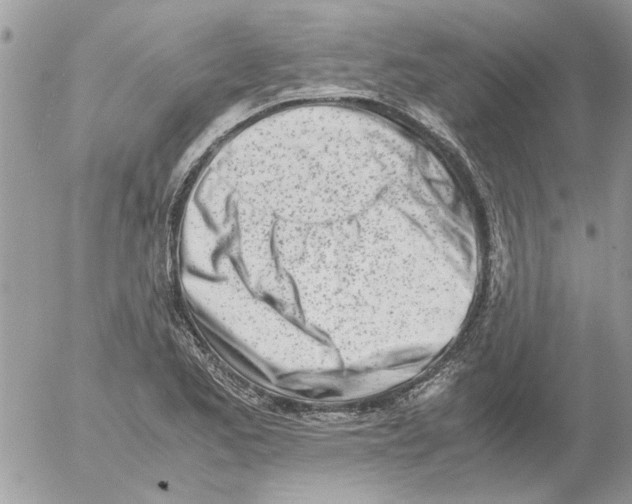 X0000052551173200507291908