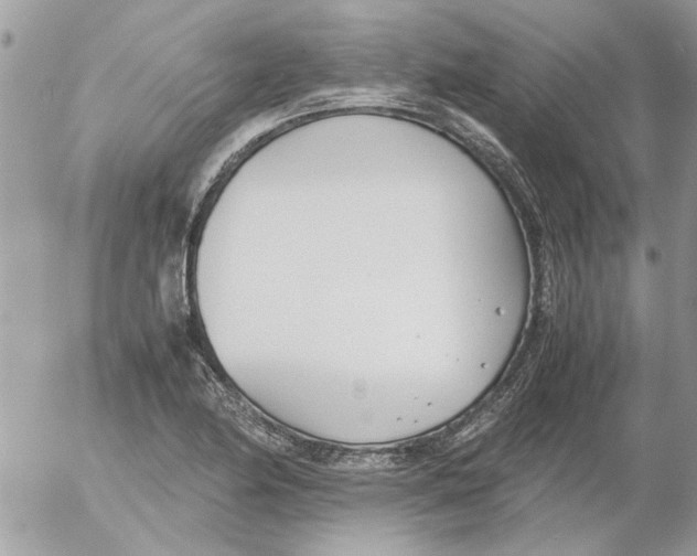 X0000052551174200507291908