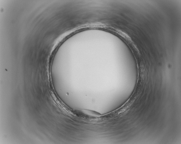 X0000052551176200507291908