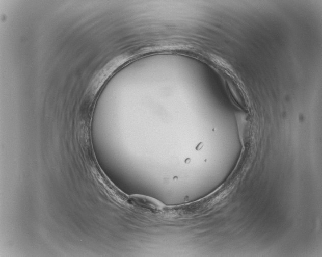 X0000052551177200507291908