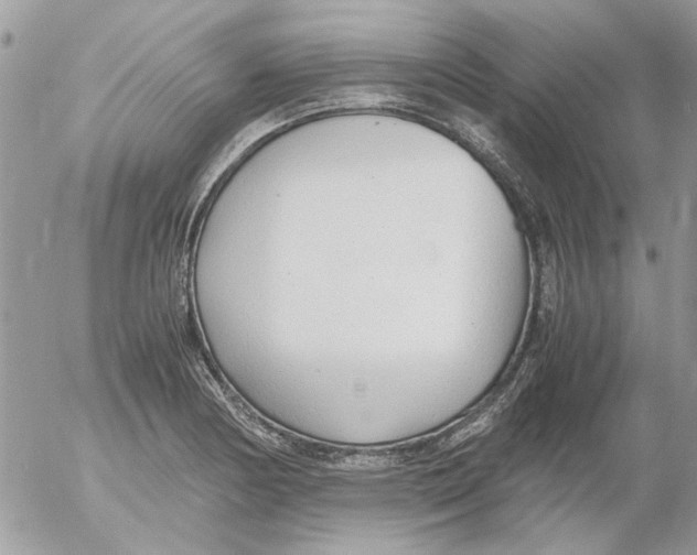 X0000052551178200507291908