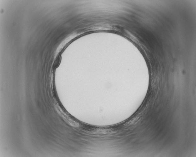 X0000052551179200507291908