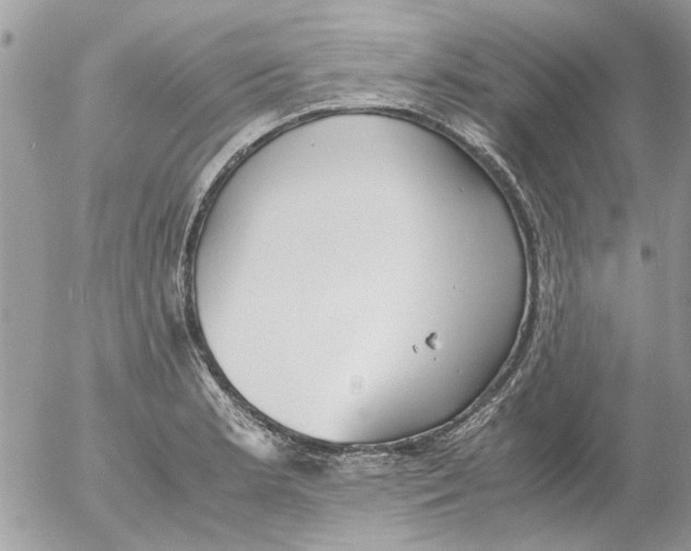 X0000052551181200507291908