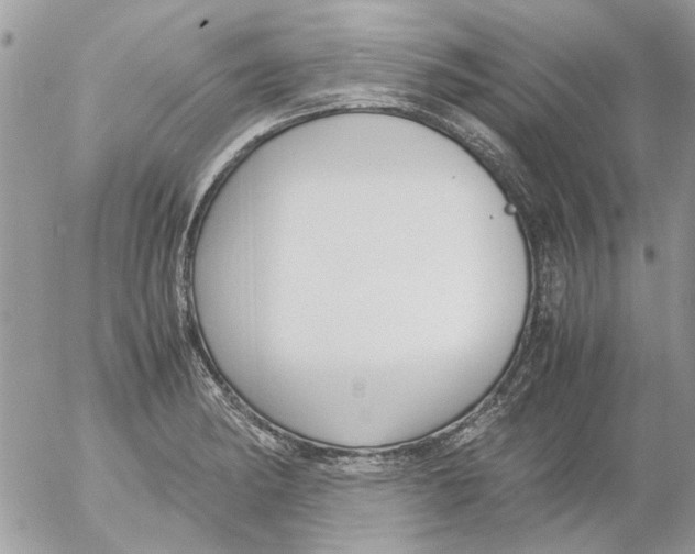 X0000052551182200507291908