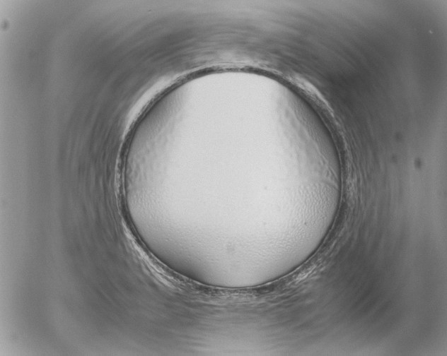 X0000052551183200507291908