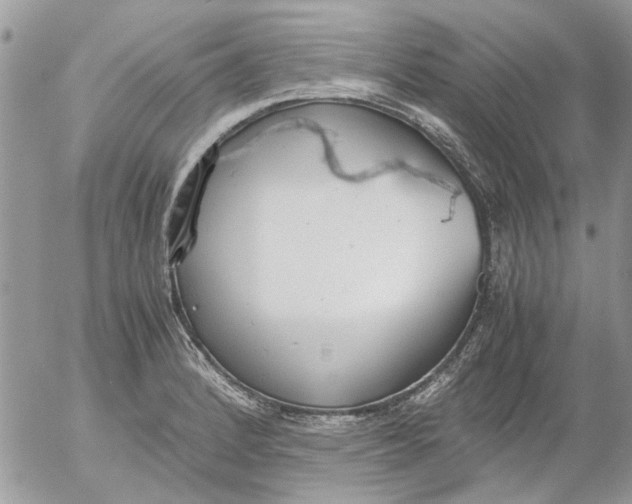 X0000052551184200507291908