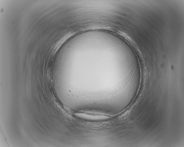 X0000052551185200507291908