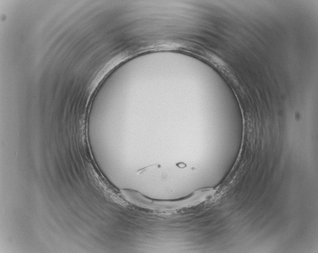 X0000052551186200507291908