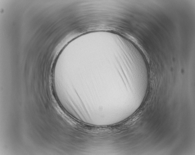 X0000052551187200507291908