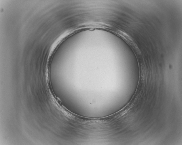 X0000052551188200507291908