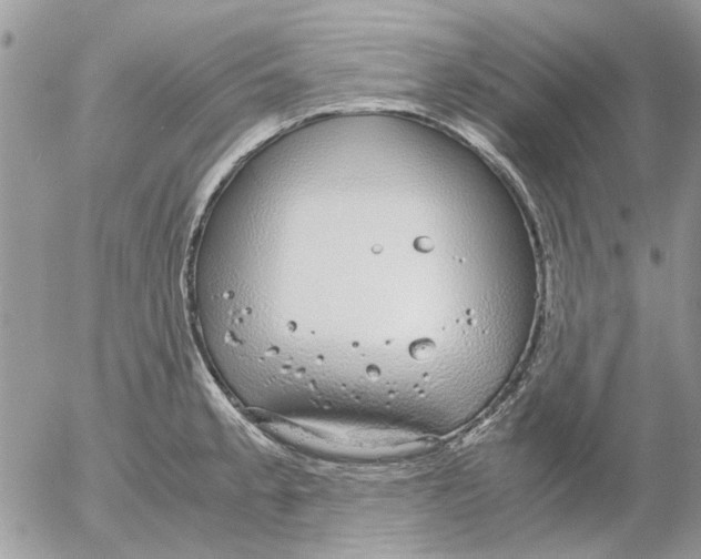 X0000052551189200507291908