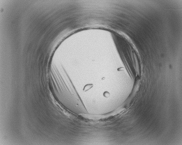 X0000052551191200507291908