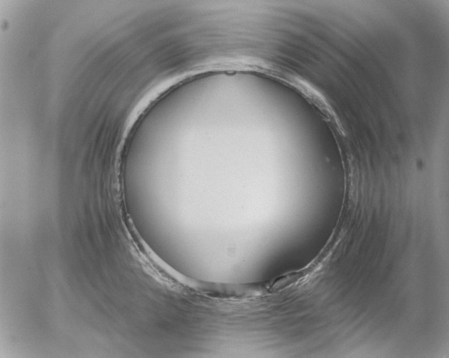 X0000052551192200507291908