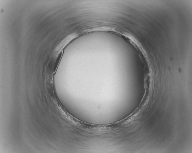 X0000052551193200507291908