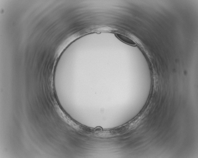 X0000052551194200507291908