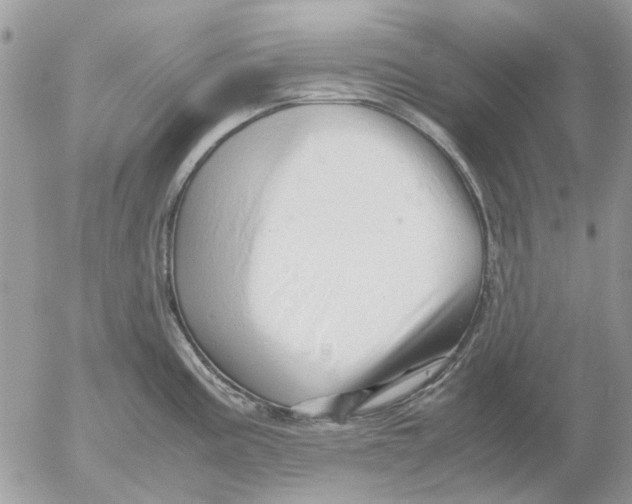 X0000052551195200507291908