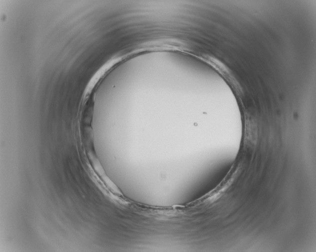 X0000052551196200507291908