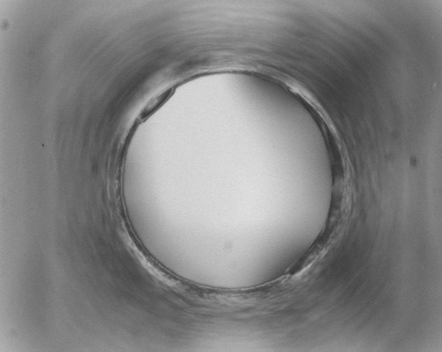 X0000052551197200507291908