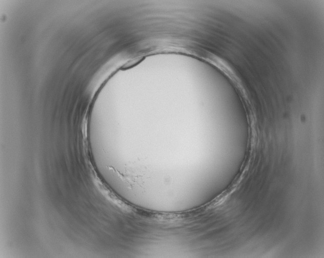 X0000052551198200507291908