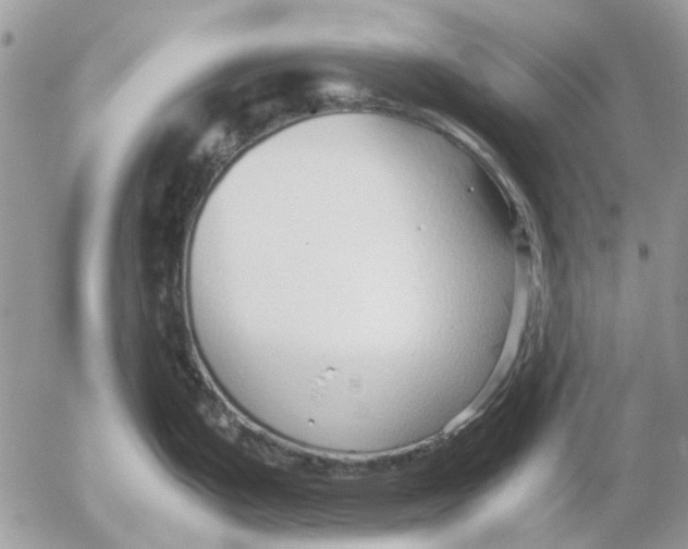 X0000052551199200507291908