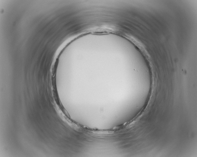 X0000052551200200507291908