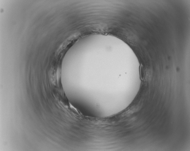 X0000052551202200507291907