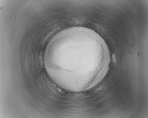 X0000052551203200507291907