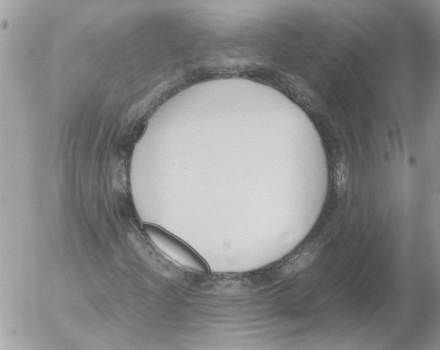 X0000052551204200507291907