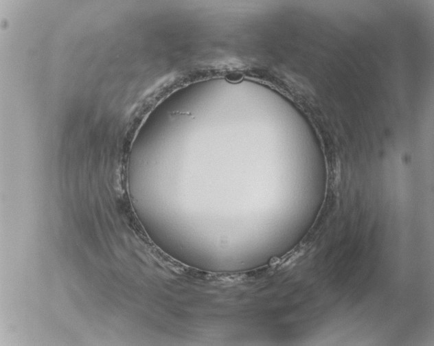 X0000052551205200507291907