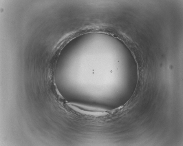 X0000052551206200507291907