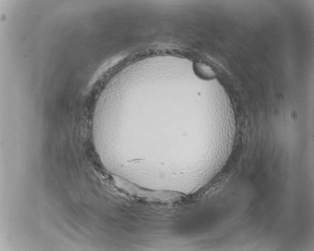 X0000052551207200507291907