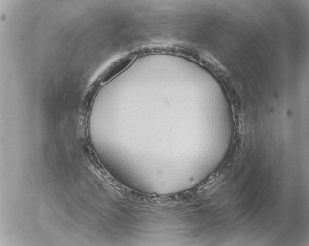 X0000052551208200507291907