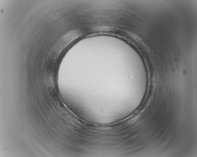 X0000052551209200507291907