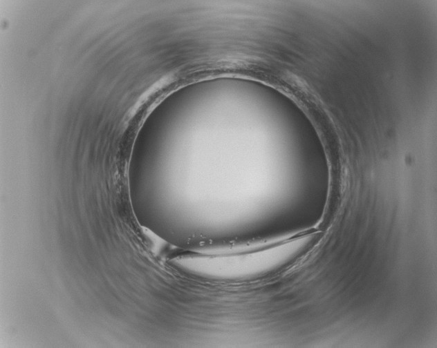 X0000052551210200507291907