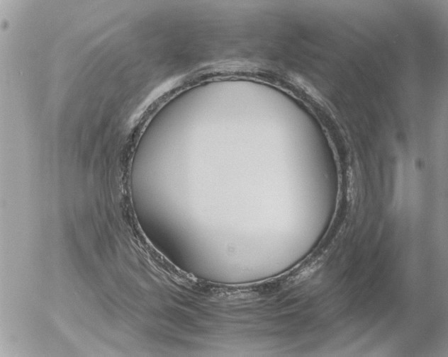 X0000052551213200507291907