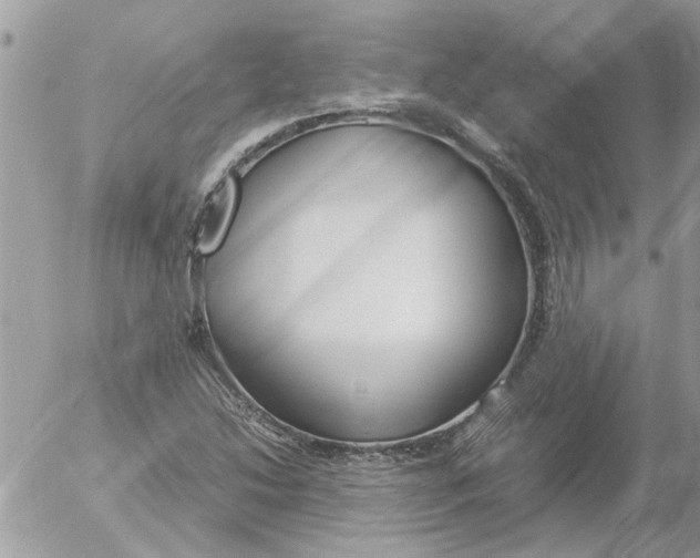 X0000052551214200507291907