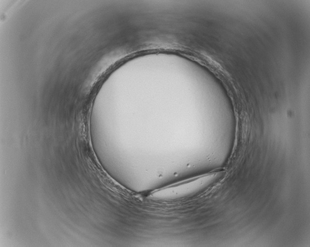 X0000052551215200507291907