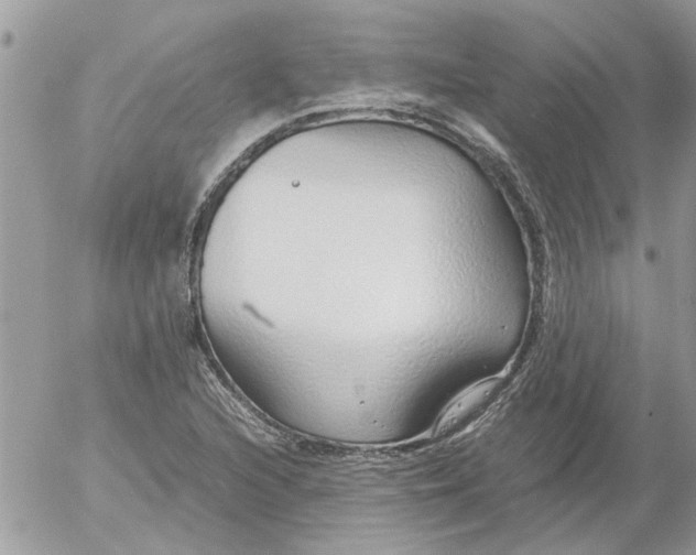 X0000052551216200507291907